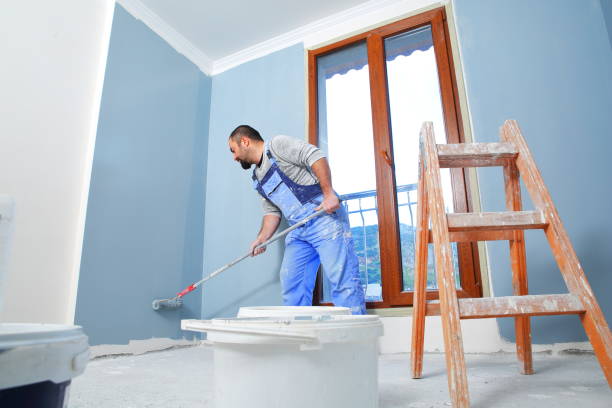Best Mold Prevention Services  in Towanda, KS