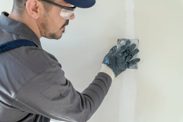 Best Air Quality Testing for Mold Spores  in Towanda, KS