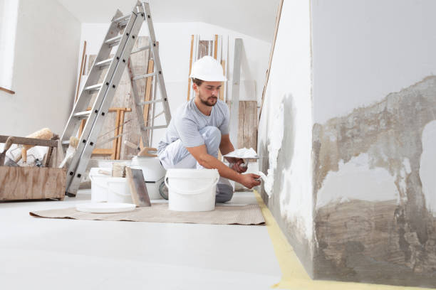 Best Asbestos and Lead Testing During Mold Inspection  in Towanda, KS