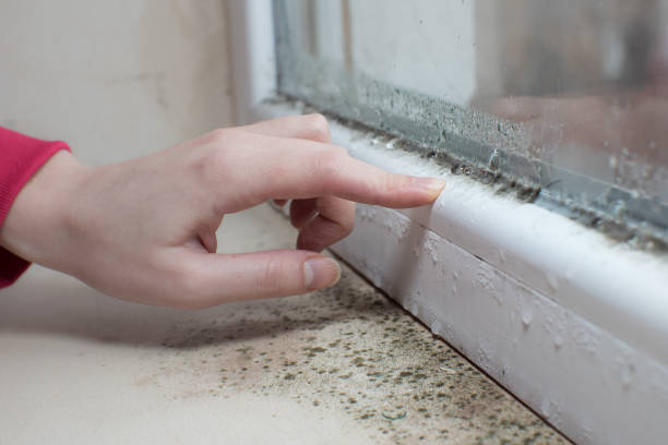 Mold Remediation for Rental Properties in Towanda, KS