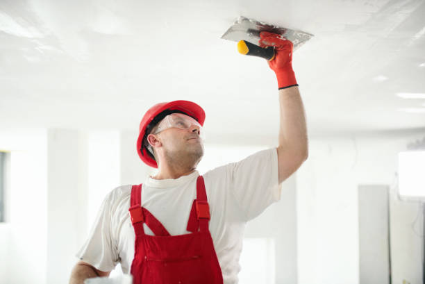Best Residential Mold Inspection & Testing  in Towanda, KS
