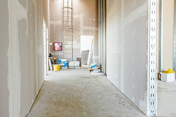 Best Mold Remediation for Healthcare Facilities  in Towanda, KS