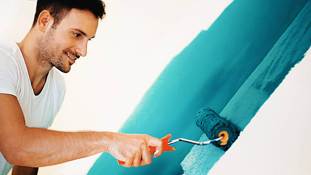 Best Biohazard Mold Removal  in Towanda, KS