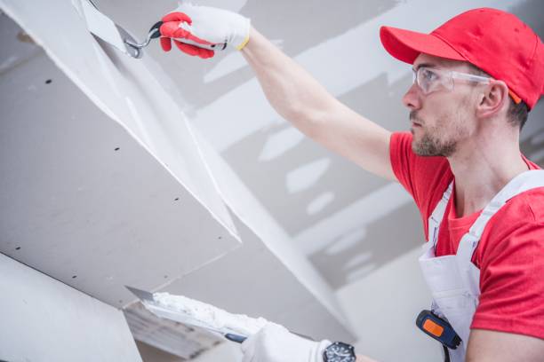 Best HVAC Mold Inspection and Cleaning  in Towanda, KS