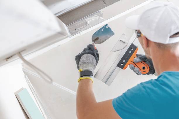 Professional Mold Removal in Towanda, KS